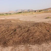 کود گوسفندی