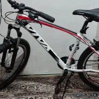 دوچرخه VIVA خشک