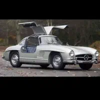 راننده شخصی