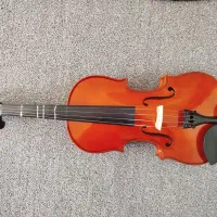 ویولن مدل dynasty|ویولن|دهلران, |دیوار