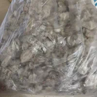 چای کوهی.کلک خرگوش