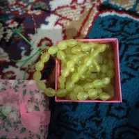 شاه مقصود اصل|کلکسیون اشیاء عتیقه|کرمان, |دیوار