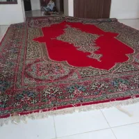 فرش در حد نو|فرش|شیراز, شهرک گلستان|دیوار