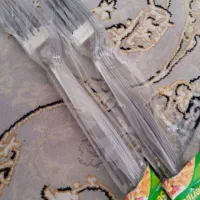 چنگال دو دست