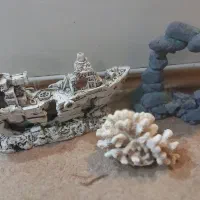 لوازم اکواریوم کشتی مرجان ...|ماهی|تهران, شهرک امام خمینی|دیوار