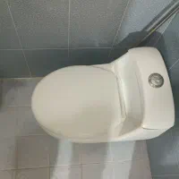 توالت فرنگی و واکر چرخدار