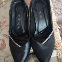 کفش نو نو|کیف، کفش، کمربند|قم, پردیسان|دیوار