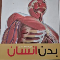 دایره المعارف بدن انسان