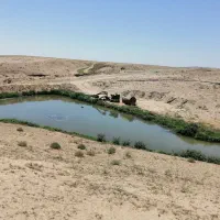 زمین-فروشی