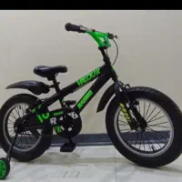 دوچرخه ۱۶ حرفه ای