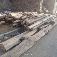 فروش چوب