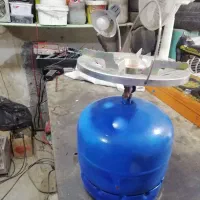 پکنیک در حد نو