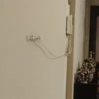 هم خانه(همخانه)