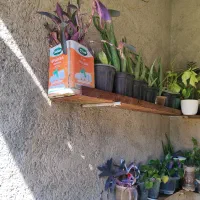 کاغذ آچار|لوازم التحریر|سرپل ذهاب, |دیوار