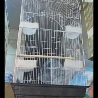 قفس مینا بسیاربزرگ