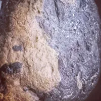 سنگ پادزهر یا مرهم یا خونبند طبیعی 200کیلویی