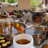 شیره انگور همدان