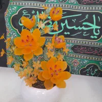 گلبرگ کریستالی عمده وجزیی