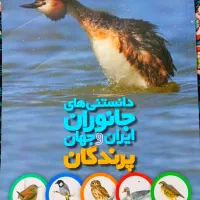 کتاب چاپ نشر طلایی