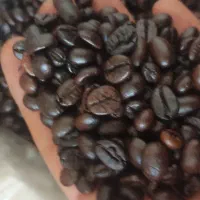 پخش انواع قهوه گلد پودریجات اسپرسو کلاسیک