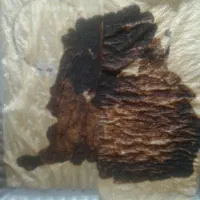 فال قهوه طالع بینی