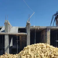 اسکلت-گردخون