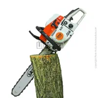 خدمات باغداری|خدمات باغبانی و درختکاری|آمل, |دیوار