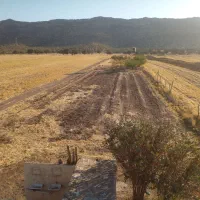 رستوران فروشی روستای بلوران|فروش زمین و ملک کلنگی|درب گنبد, |دیوار