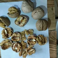 گردوی خوشمزه تویسرکان|خوردنی و آشامیدنی|قم, پردیسان|دیوار