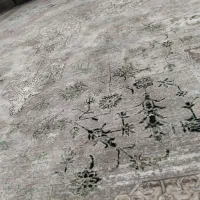 فرش|فرش|گرگان, |دیوار