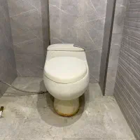 توالت فرنگی . آکس ۱۳