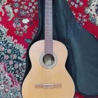 گیتار پارسی m5