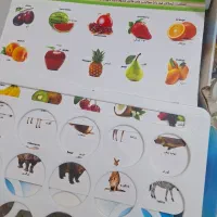 فروش فوری فوری|کالسکه و لوازم جانبی|تهران, مینای شمالی (مخبر)|دیوار