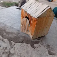 قفس چوبی نو|جاکفشی، کمد، دراور|تربت جام, شهرک معلم|دیوار