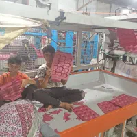 تولید شانه میوه