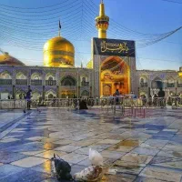 کربلا ۸ روزه ۵ شب هتل اقساط