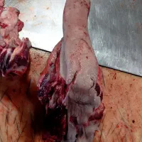 فروش عمده زبان و مغز و خورده گوشت گوساله