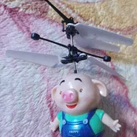 هلیکوپتر طرح خوک