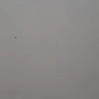 سیمان کاری صفرتا صد