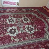 گلیم فرش روفرشی ۱۲ و۶متری موجوده|گلیم، جاجیم، گبه|بندرعباس, |دیوار