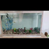 آکواریوم معاوضه با پرنده قفسی|ماهی|مشهد, امیریه|دیوار