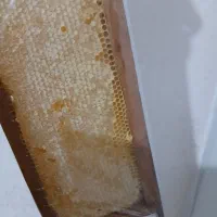 تک عسل طبیعی ارزنق|خوردنی و آشامیدنی|سراب, |دیوار