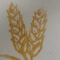 راهنمایی برای خرید خونه