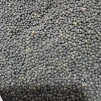 ماش تمیز وآماده پخت|خوردنی و آشامیدنی|باغ ملک, |دیوار