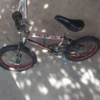 دوچرجه|دوچرخه، اسکیت، اسکوتر|باغ حلی, |دیوار