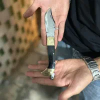 چاقورشیدنیا