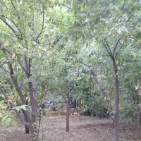 زمین کنار رودخانه زاینده رود|فروش زمین و ملک کلنگی|سامان, |دیوار