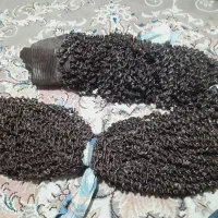 پرده ریسه ای