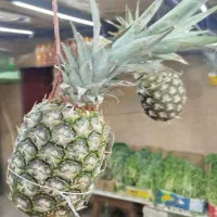 نیازمند فروشنده برای مغازه میوه فروشی|استخدام بازاریابی و فروش|نجفآباد, شریعتی|دیوار