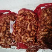 عصاره زرد چوبه تازه و زنجبیل تازه|خوردنی و آشامیدنی|شیراز, سفیرشمالی|دیوار